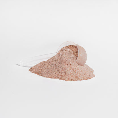 Advanced 100% Whey Protein Isolate (Chocolate)