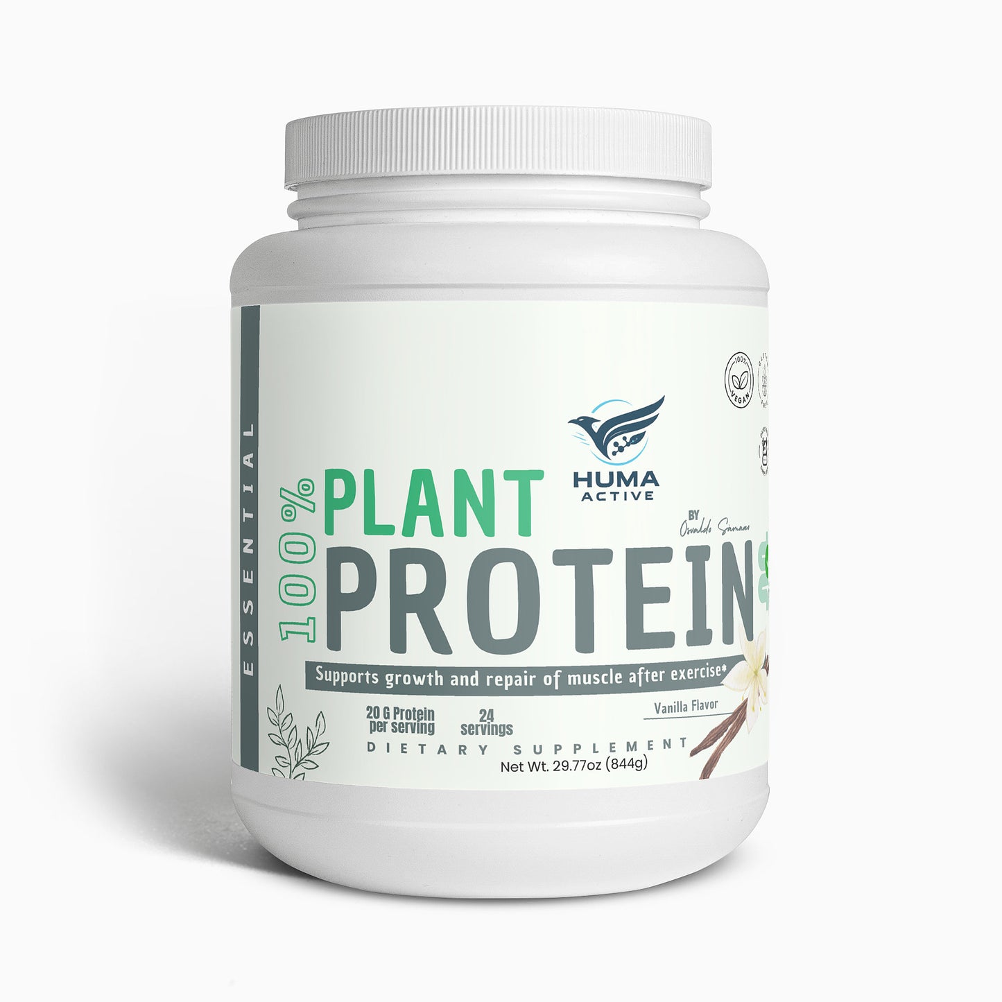 Plant Protein (Vanilla)