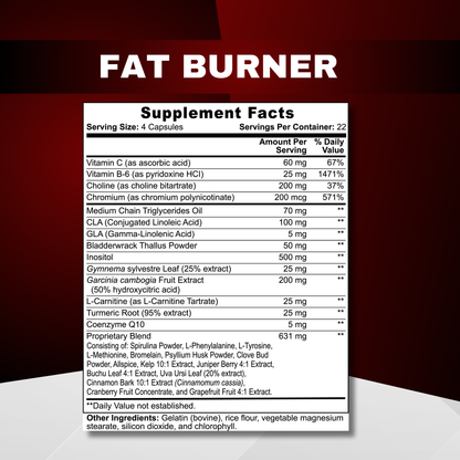 Fat Burner with MCT